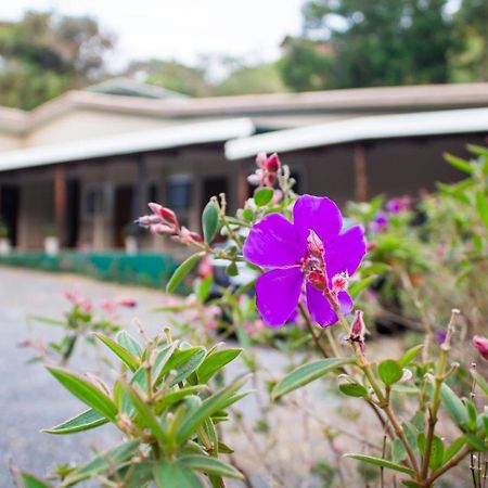 Natuera Hotel Monteverde Luaran gambar