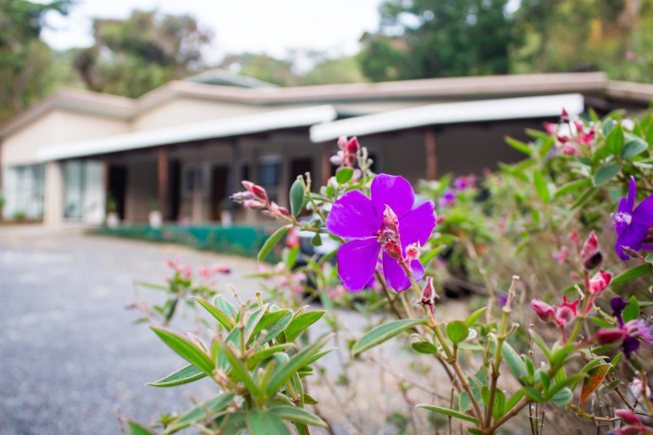 Natuera Hotel Monteverde Luaran gambar